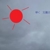 太陽が恋しい！