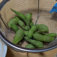 甘いお野菜