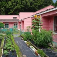 ７月７日（月）七夕