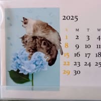 2025/06/06に思うこと