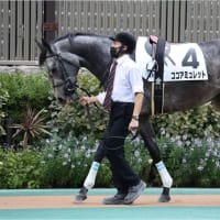 オークストライアルにチャレンジ