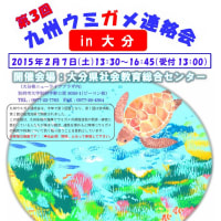 大分県ウミガメ会議＆九州ウミガメ連絡会／大分会議！