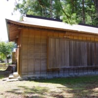徳島県那賀町、木頭和無田ヨシノ「和無田八幡神社の門杉群」（町指定）です！！
