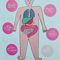 免疫70%は腸にあり！