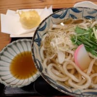 ノンヴィブ・ミュージック