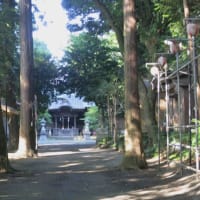 小出川・茅ヶ崎里山公園～ポタリング