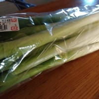 長ネギの匂い