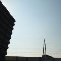 今日の博多３４５　【記録ずくめの６月】