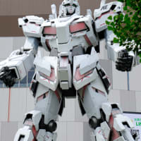 体力つけたい