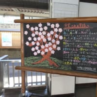 今週末の鉄道撮影