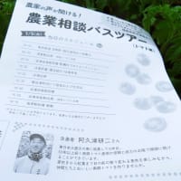 5月29日　今日の畑