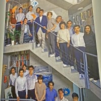 安藤忠雄展