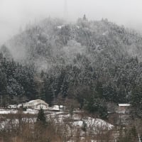 雪景。。。