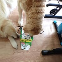 ママの手術決定で準備をする