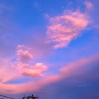 呼吸（いき）をするように　あなたがかく汗を　過ぎた季節のにおいと思う
