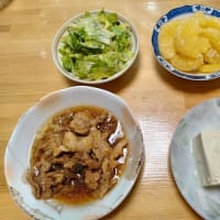 雉がウロウロ