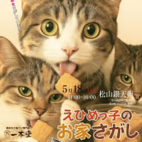 2025年5月18日（日曜日）銀天街にて「保護犬猫の譲渡会」開催します。