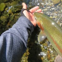 2年振りの北海道 その1