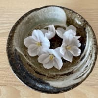 桜の花　＆　映画の備忘録