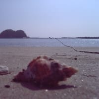 宮崎の浜辺