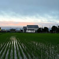 ６月15日日曜日☂️