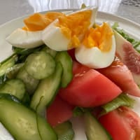 きゅうり頂きました｡