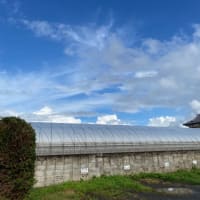 今日の助産院ごはん