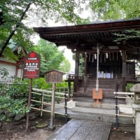 藤森神社の紫陽花苑