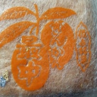 きんかん最中（南大隅町・根占）