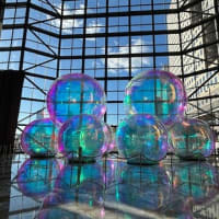 冬が来る前のWinter Garden