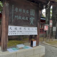 根津神社 夏越しの大祓