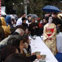 梅花祭（ばいかさい）　北野天満宮　2013年2月25日（月）