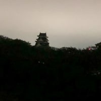 烏（黒）・蓼（赤）・白鷺（白）