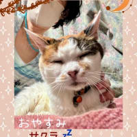 天使の歌声