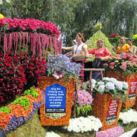 The 20th Baguio Flower Festival "Panagbenga 2015"
