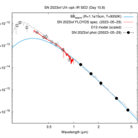 NEOWISE-R がメシエ101 の明るい SN2023ixfを捉える