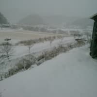 A Happy New Year!!
