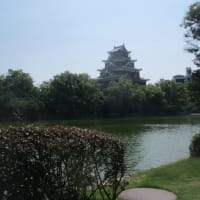 夏越の大祓・・・廣島護国神社さんに参拝に行ってきました　茅の輪くぐり、大祓の人形・・・夏を乗り越えたいですね