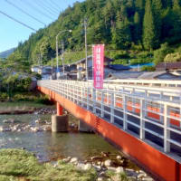 【釣】清流に癒されるも厳しい釣果　（2025/06/28　鮎　大洞川・小坂川）