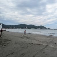 真夏日