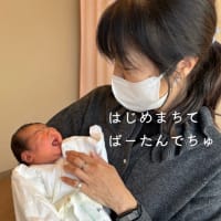 ブログじまい