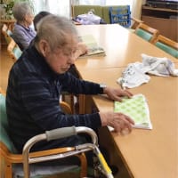 トマト🍅成長期！