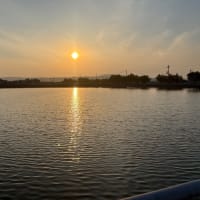 夕方散歩
