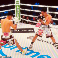 ドジャース戦と中谷戦🥊