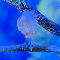 🌏１０月１日より　新記事投稿は不可能！！