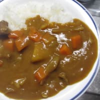 グルメな旅のデリシャスカレー