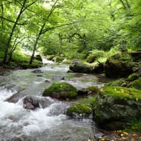 期待外れの雨後釣行