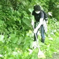 草刈り作業 ご苦労さまでした