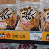 新規OPENの道の駅おおえへ