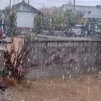 今日いち-2024年12月14日